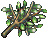 樅 Lv2